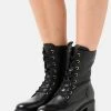 Anna Field LEATHER - Botines Con Cordones - Black, Mujer -Anna Field Ventas 2022 1cba2baa04be46b2a304ee897e06e597