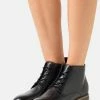 Anna Field LEATHER - Botines Bajos - Black, Mujer -Anna Field Ventas 2022 8dfa7e9a3274439dbe766c7b63f9c025